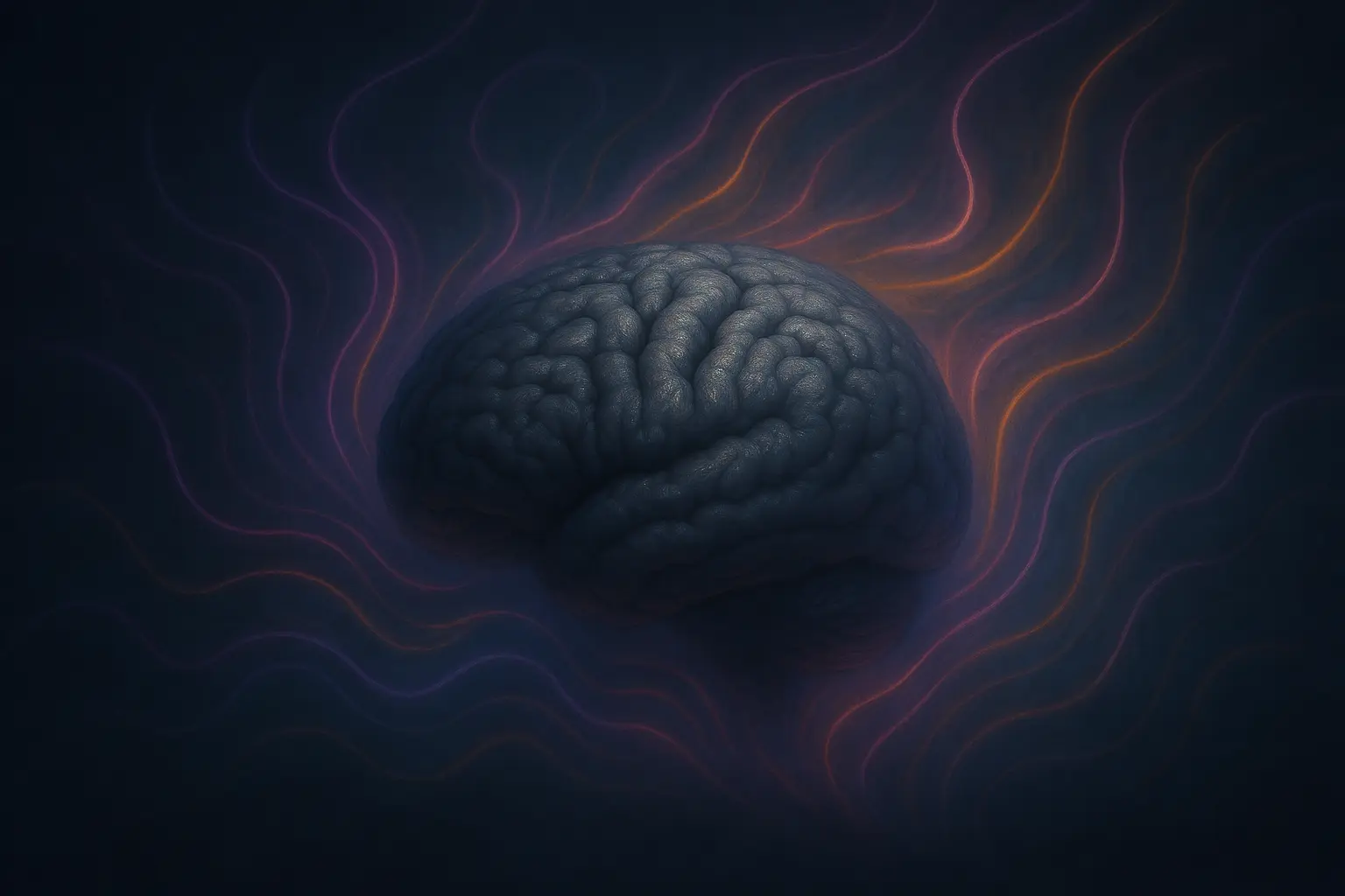 Jak psilocybin mění mozek?